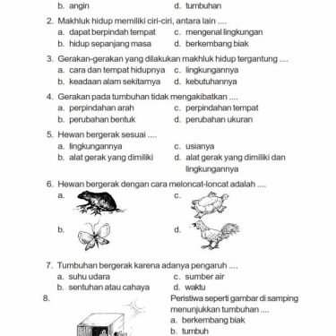 7 Rahasia Menguasai Soal IPA Kelas 3 Bab 1 Agar Anak Makin Pintar dan Cepat Paham