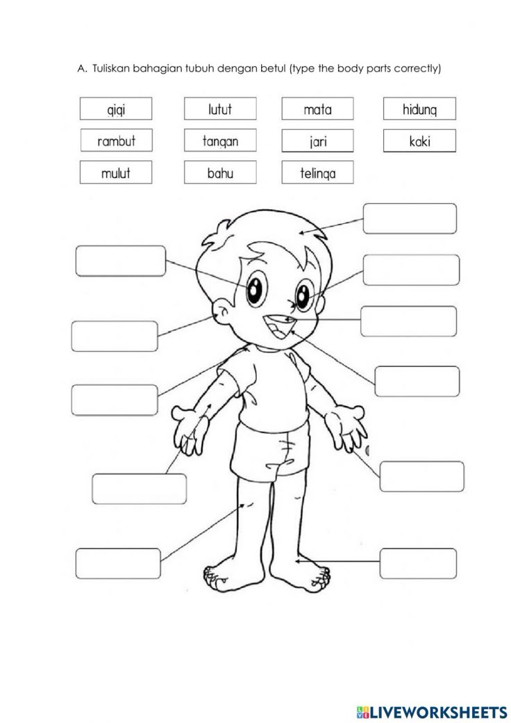 Mengenal Anggota Tubuh Kelas 1 Sd - Free Word Template