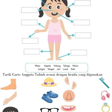 3 Fakta Mengejutkan dari Soal Anggota Tubuh Kelas 1 SD yang Selama Ini Salah Dipahami
