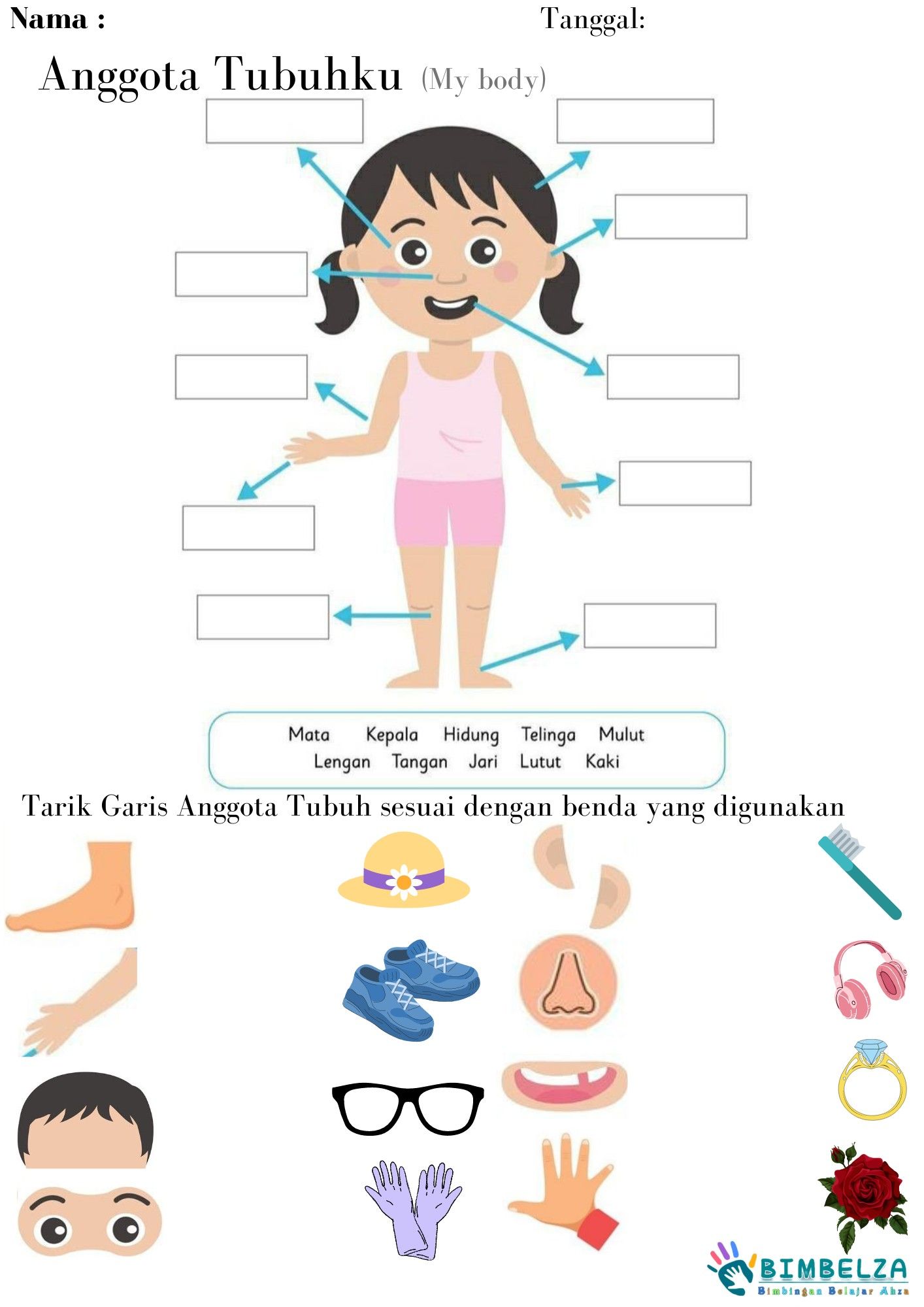 3 Fakta Mengejutkan dari Soal Anggota Tubuh Kelas 1 SD yang Selama Ini Salah Dipahami